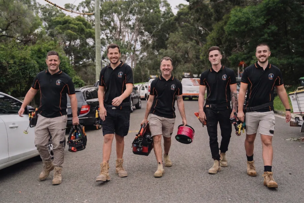 Professional electrical services in Little Bay